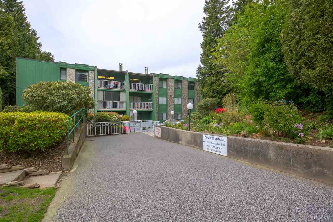 I have sold a property at 111 3901 CARRIGAN CRT in Burnaby
